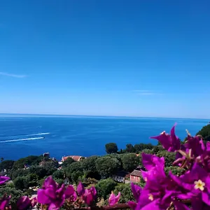 Azur Apartment